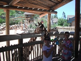 Zoo_2012